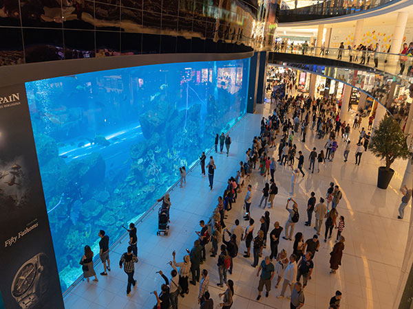 Explore the Spectacular Dubai Mall Aquarium